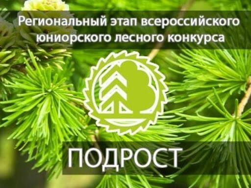 Подведены итоги краевого этапа лесного конкурса «Подрост»