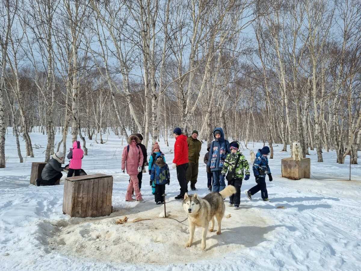 682 жителя края воспользовались сервисом «Социальные туры» на Камчатке