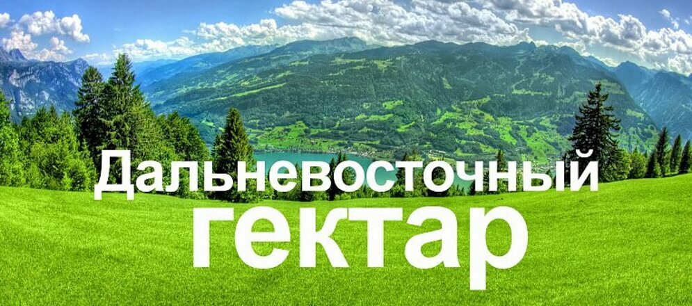 Получателям дальневосточного гектара необходимо подписать договоры безвозмездного пользования в установленный Федеральным законом срок