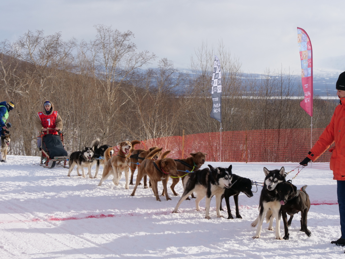 Участники гонки Avacha RACE на Камчатке проходят Пиначевский перевал