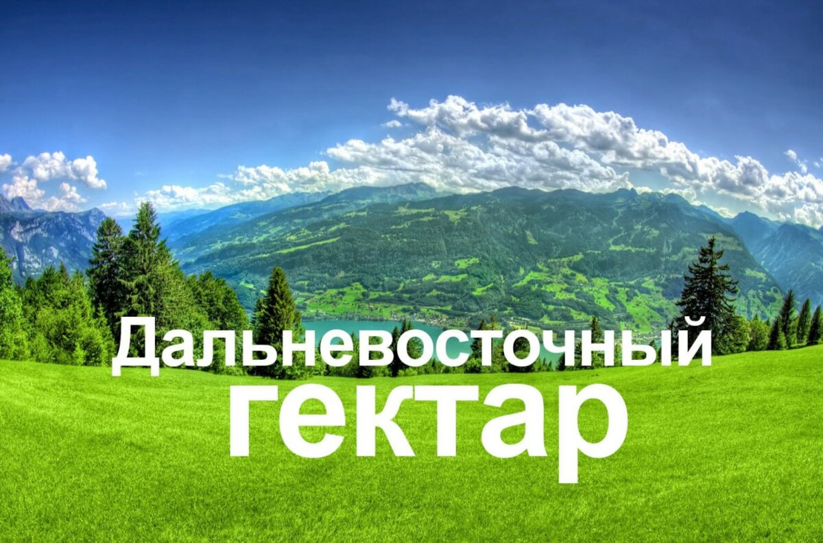 На Камчатке упрощены условия предоставления участков по программе «Дальневосточный гектар»